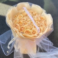 Ӫɽʻٵ